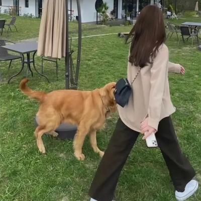 热血搜救队